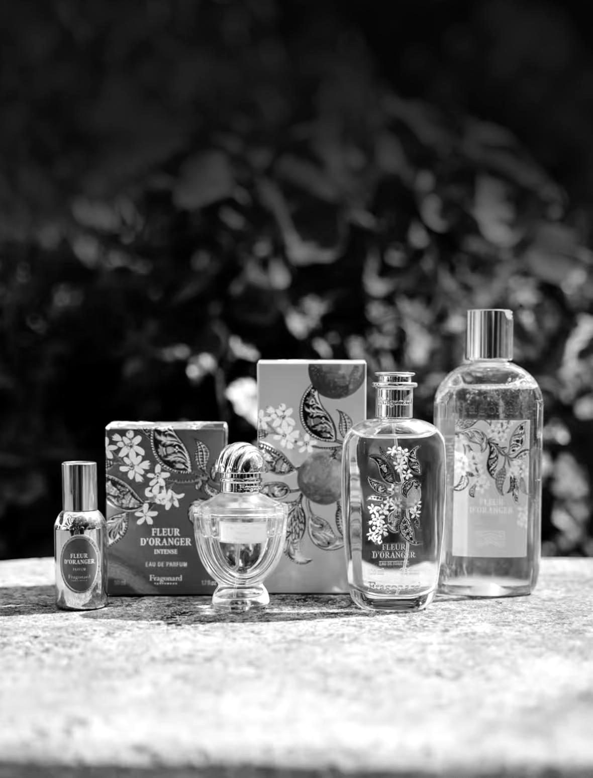 Fragrance editorial